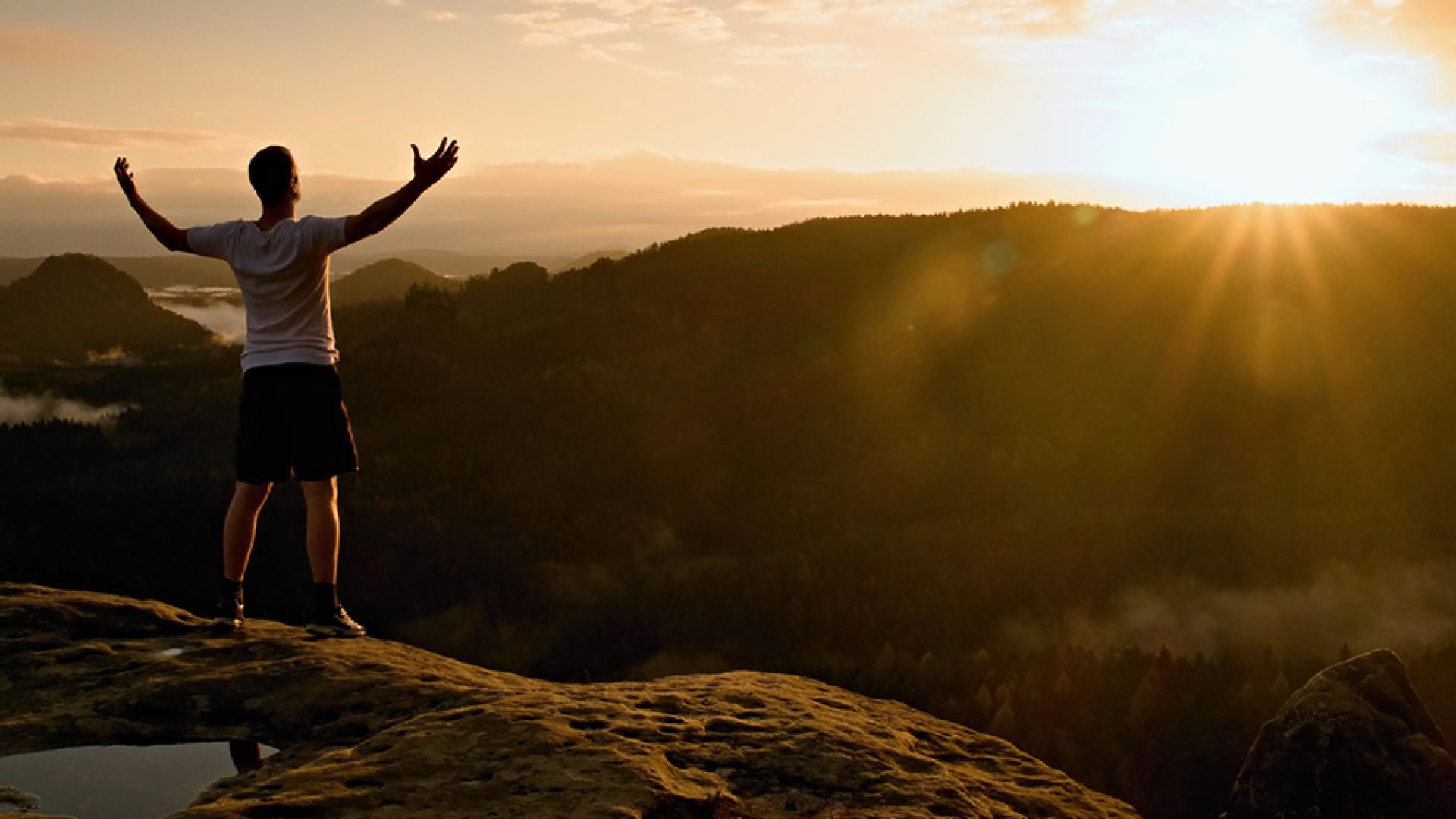 Contact-npeak-health